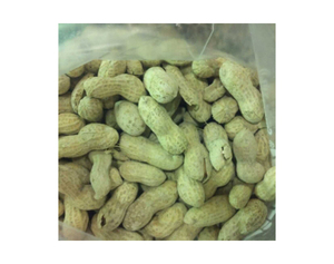 ถั่วลิสงจาวาลวกต่อตัน - Product Image 6