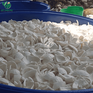 Pulpa de coco joven congelada IQF de Vietnam para hacer jugo en empaque a granel - Product Image 5