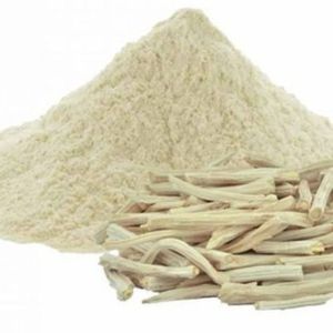 Polvo de Raíz de Shatavari de Genius Herbs, Asparagus racemosus, Grado de Exportación, Suministro a Granel - Product Image 1