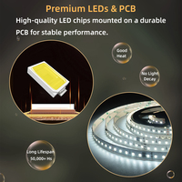 Bande lumineuse OEM ODM 24V WS2811ic 8mm 10mm 120Led/M chassant l'eau courante Led bande coulant avec écran tactile 5M 10M/Roll