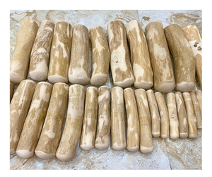 Bâton à mâcher pour animaux de compagnie en bois de café sûr de haute qualité avec des offres concurrentielles Bâton à mâcher pour animaux de compagnie en bois de café naturel du Vietnam pour l'exportation en vrac - Product Image 1