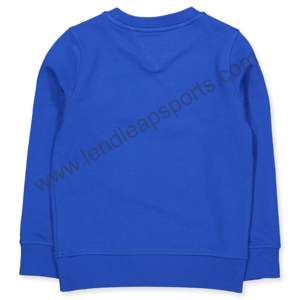 Sweat-shirt pull-over Offre Spéciale avec logo personnalisé pour hommes service OEM en vrac anti-rétrécissement avec conception personnalisée - Product Image 1