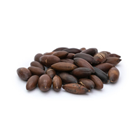 Noix de Baru Sauvages Premium Brésiliennes Naturelles Riches en Protéines, Fibres, Oméga-6 et Oméga-9, Collation Prête à Consommer, Non Salée, Grillée, Superaliment en Vrac
