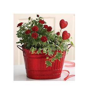 Jardinière en fer classique de qualité supérieure avec un design minimaliste pour les jardins d'herbes aromatiques d'intérieur forme et taille personnalisées à bon prix - Product Image 2