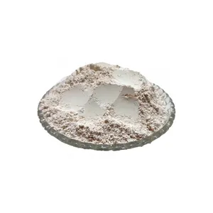 High Quality Chlorophytum borivilianum - Safed muesli powder with best rates - private labelling - customised packing powder