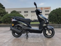 Moto à essence 125CC tendance, vente en gros, directement de l'usine, économique, CKD/SKD, pour adultes, livraison mondiale