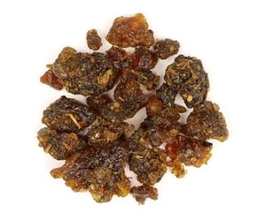 Extracto de CO2 Guggul Premium, producto de extracto vegetal - Product Image 2