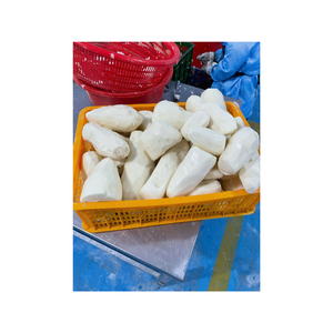Frozen <b>taro</b> cut into 15x15mm pieces, certified IQF ISO HACCP, vacuum packed, in a 10kg box, to ensure quality. - Product Image 2