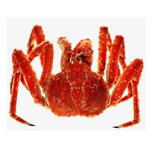 Cangrejos de rey de Alaska congelados Cangrejos de rey noruego Cangrejo de nieve en línea-Corte de alta calidad - Product Image 5