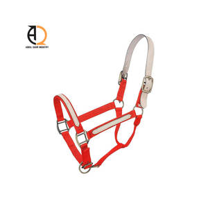 Licol en cuir de selle pour cheval avec boucle en laiton et accessoire en nylon pour cheval - Product Image 3