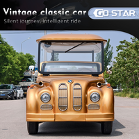Voiture électrique Go Star (GCC/Eec/Dot/CE) 8+ places, autonomie de 90 km, garde au sol de 250-300 mm, vitesse de 30 km/h