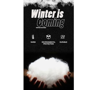 Wholesale Custom Puffer <b>Jacket</b> <b>Men</b> 2025 Warm <b>Waterproof</b> <b>Lightweight</b> Insulated Winter Outerwear OEM Fashion Streetwear Supplier - Product Image 5