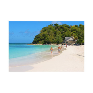 Et les projets de menuiserie commerciaux disponibles à des prix avantageux Beech Long est idéal pour la construction de portes et de cadres - Product Image 4