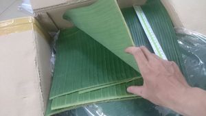 Hojas de plátano congeladas vietnamitas a la venta: calidad premium y asequible - Product Image 6