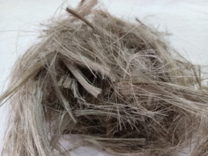 Fibre de varech naturelle coupée en taille 5 mm, issue de varech naturel, idéale pour les usines textiles et les filateurs - Product Image 2