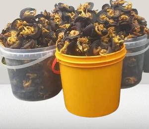 Dried Snails meat 5-8cm Vacuum Pack 1kg Premium Quality Scallop Trim Without <b>Shell</b> Fast Delivery Place Your Order Today - Product Image 6