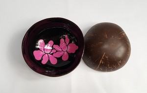 Cuencos de Coco Naturales Pulidos de Alta Calidad, Diseño Minimalista Ecológico, Hanoi Vietnam MIFAVN, para Organización y Almacenamiento en el Hogar - Product Image 2