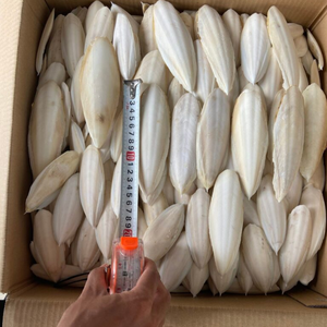 Os de seiche séché à bas prix pour tortues, perroquets et oiseaux de compagnie - Product Image 2