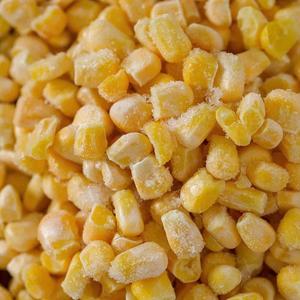 Maíz Dulce Congelado al por Mayor de Vietnam, Granos de Maíz envasados al vacío a granel, Conservados en agua, Proceso de Congelación LQF, Vegetales Frescos - Product Image 3