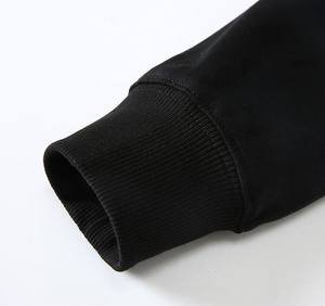 Marque de mode logo broderie conception oiseaux hommes haut de gamme 100% coton à capuche costume personnalisé en gros sweats à capuche pull - Product Image 6