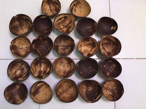 Tazón de Cáscara de Coco Orgánico 100% Ecológico Hecho a Mano por EUTECH, Color Marrón Natural, Diámetro 13-14 cm, Profundidad 6 cm, Impermeable y Pulido - Product Image 5