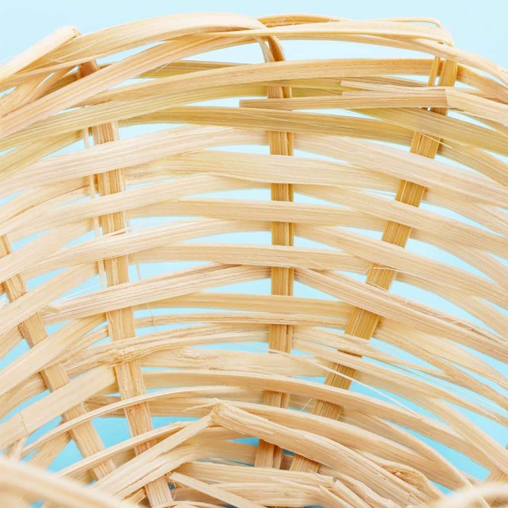 ธรรมชาติ