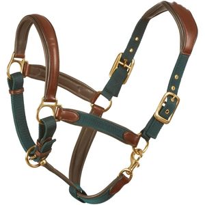 Halter de cheval Durable Simple de mode de haute qualité avec du matériel en laiton ou en acier inoxydable licou de cheval en nylon moderne - Product Image 6