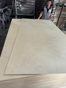Contrachapado de Abedul D/D D/E de 12 mm/15 mm/18 mm, Contrachapado de Abedul de Vietnam para Uso en Interiores, E1 para Muebles Industriales, Gabinetes de Cocina, Corte Láser CNC - Product Image 6