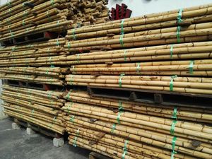 Gran oferta 2021, palo de ratán sin pulir, económico, 10mm-40mm de diámetro, el mejor Material PP en bruto para muebles, productos agrícolas - Product Image 5