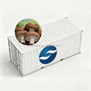 Conteneur d'expédition personnalisé pour la culture de champignons en ferme, destiné à la production commerciale de champignons, provenant d'une usine chinoise leader. - Product Image 2