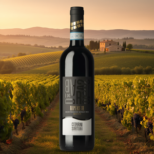 Cesarini Sartori Montefalco Rosso Riserva DOC 750ml Barrel Aged Red <b>Wine</b> Umbrian Reserve <b>Wine</b> 6 Bottles Per Box - Product Image 3