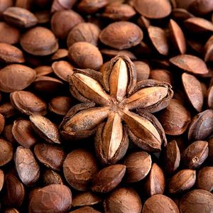 HIGH STANDARD | Sacha Inchi <b>Nuts</b> / Sacha Inchi Oil / Inca Peanut Ready to Ship With Export Standard - Product Image 2