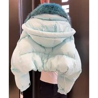 Manteau d'hiver chaud de luxe pour femme, en duvet doux, avec fermeture éclair, style streetwear, manches longues, capuche amovible, 100 % naturel