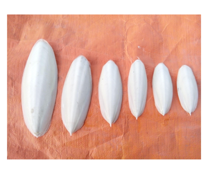 Os de seiche séchés du Vietnam à prix d'usine - Os naturels propres pour l'alimentation des oiseaux et la nutrition des animaux de compagnie - Product Image 2