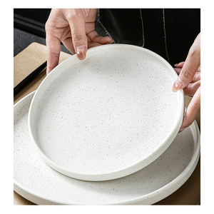 Prato de Cerâmica Azul e Branco Simples e Elegante, Seguro para Micro-ondas, Forma Irregular, Ideal para Restaurantes e Hotelaria, Ideal para Apresentação de Comidas Ocidentais e Chinesas - Product Image 6