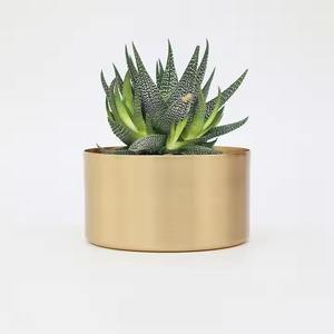 Maceta de latón para interiores para exhibición de suculentas, acento dorado moderno para mesa de oficina o decoración del hogar - Product Image 6