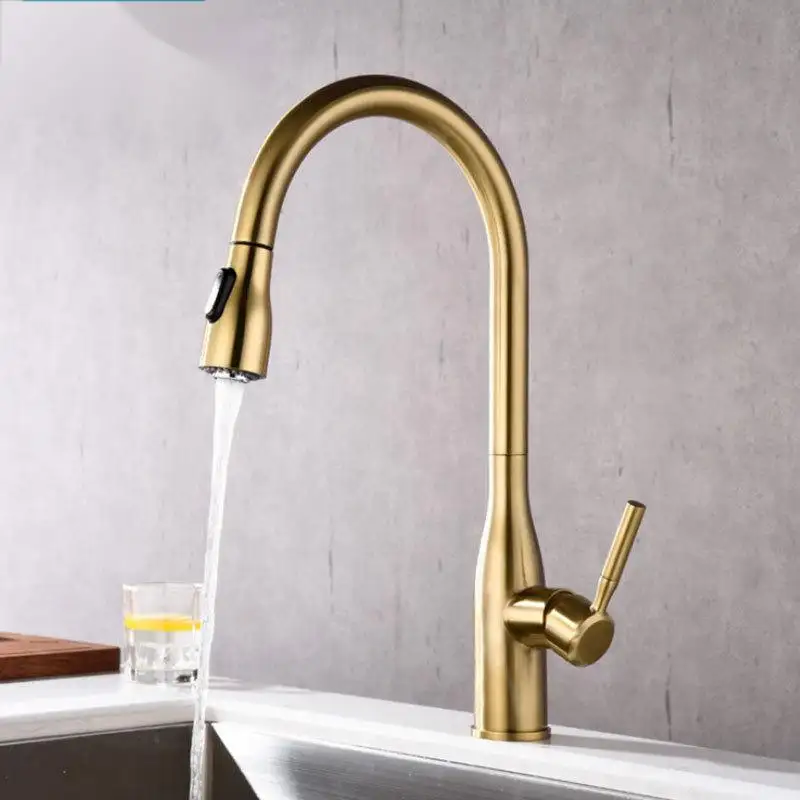 Pull Out Kitchen sink Faucet Stainless Steel 360 Mixer Water Tap Single Hole Pull Down Sprayer 2 Ways Spring Kitchen Faucet