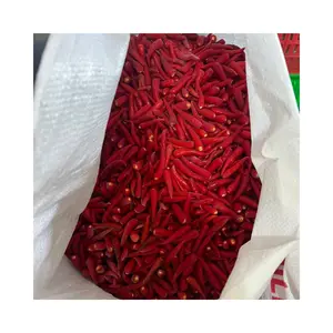 Bulk Frozen Cryo-Preserved Red Chilli IQF Chillies Delights Wholesale Spices for Culinary Excellence No Chemical PP Packing