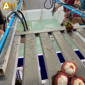 มังคุดอินทรีย์ของไทยที่เก็บเกี่ยวสดใหม่มีรสหวานเข้มข้นและมีสารต้านอนุมูลอิสระสูง - Product Image 4