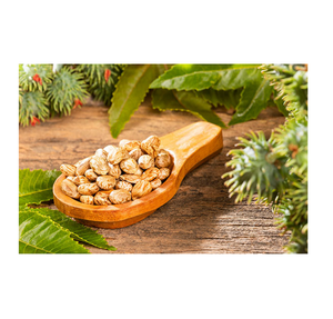 Acheter des graines de ricin naturelles en gros à prix avantageux, approvisionnement en vrac, Autriche, saines pour l'huile, plantation, usage industriel, stock disponible - Product Image 3