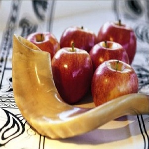 งานฝีมือในสต็อกสไตล์สัตว์ดิบฮอร์นฮอร์นธรรมชาติขัดเงาเปลือกหอยทะเล - Product Image 4