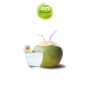Noix de coco fraîche vietnamienne goût rafraîchissant produit agricole - Product Image 3