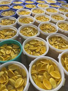 มะม่วงอบแห้งเกรดพรีเมียมมะม่วงอบแห้งเกรดส่งออกสำหรับขายส่งรสชาติอร่อยตามธรรมชาติและเหมาะสำหรับการจำหน่ายเป็นจำนวนมาก - Product Image 5