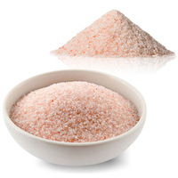 Sal del Himalaya Rosa Claro Orgánica, Certificada por HACCP, Gránulos Finos y Gruesos, Empaque Personalizado, Apoyo Inmunológico, Gestión de Energía, Cocina