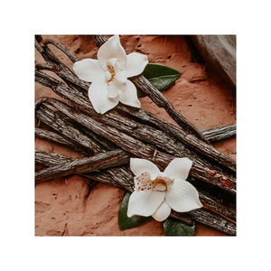 ถั่ววานิลลาแห้งมาดากัสการ์ถั่ววานิลลากก. - Product Image 6