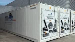 New and Used Temperature Controlled Reefer <b>Container</b> for Frozen Seafood Meat Ice Cream Pharmaceutical and Food Distribution - Product Image 5