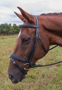 Brida De Filete de doble elevación Material de cuero Premium - Product Image 2