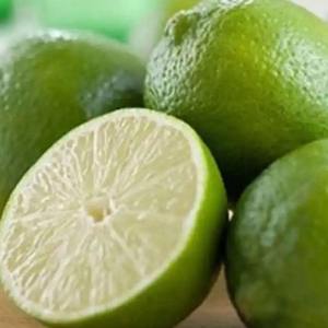 Limón verde fresco Aroma cítrico a granel y textura jugosa Granja natural cosechada Calidad Premium Limón verde picante para venta al por mayor - Product Image 5