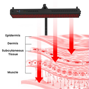 Ideatherapy 2026 Novo Design Painel de Terapia com Luz Vermelha e Infravermelha Próxima RTL300MAX-T de Alta Irradiação com 5 Comprimentos de Onda - Product Image 5
