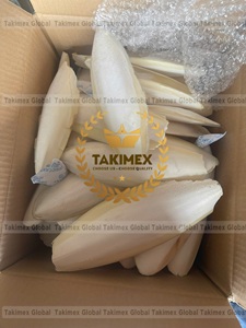 Hueso de Sepia 100% Natural para Aves, Alto en Calcio, para Afilar el Pico, Fabricante de Vietnam - Product Image 6